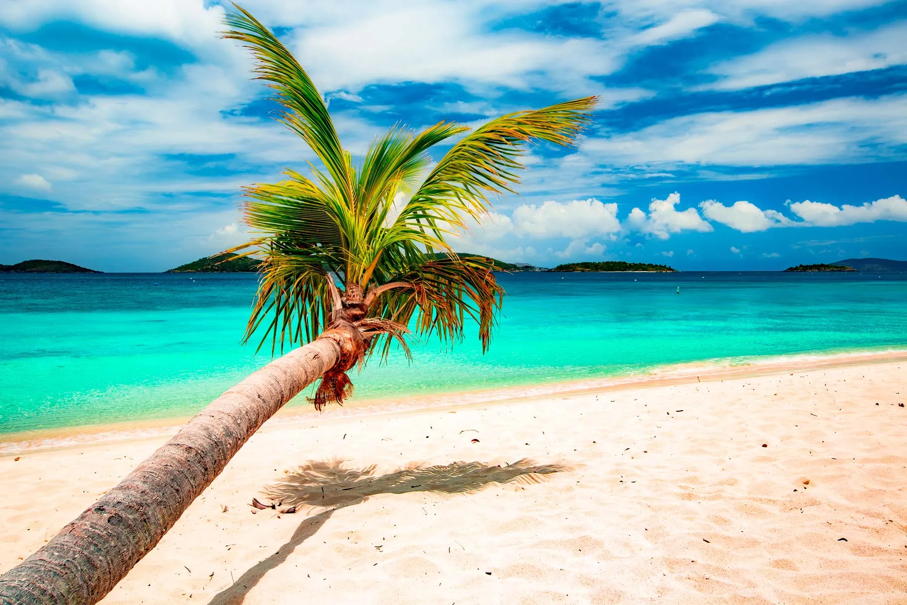 6981 usvi honeymoon dining