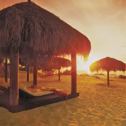 /img/7141-honeymoon-beach-planning.webp
