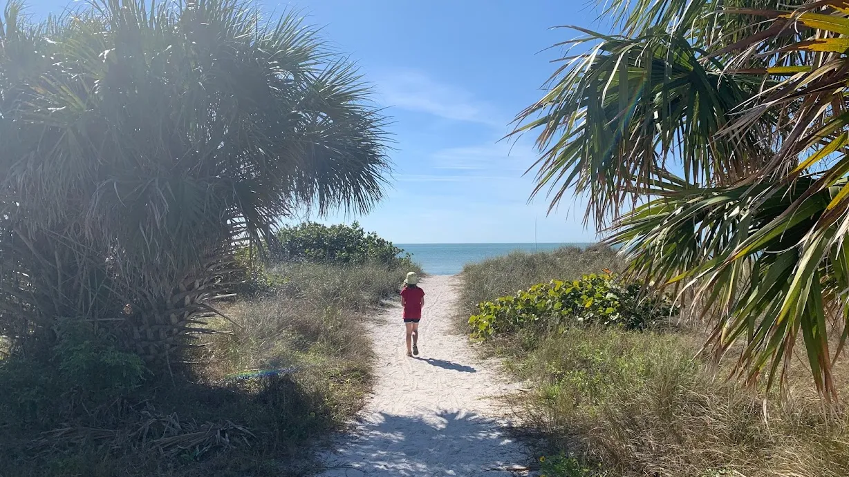 7228 tampa beach resort